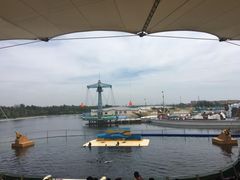 -秦皇岛乐岛海洋王国