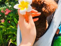 -半坡九号老挝冰咖啡