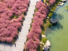 -上海交通大学(闵行校区)