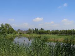 -野鸭湖国家湿地公园