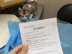 -创凡宠物医院·骨专科  猫科中心(西乡分院)