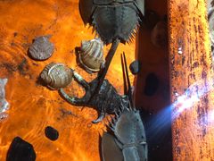 -大嶝英雄三岛战地观光园