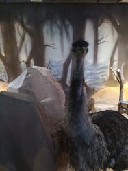 -酷嗒动物文化乐园(cutezoo西溪乐天城店)