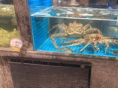 -码头鲜精致威海菜(欧乐坊店)