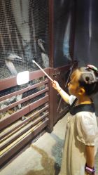 -酷嗒动物文化乐园(cutezoo西溪乐天城店)