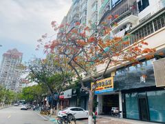 -叶太YETAI(良库店)