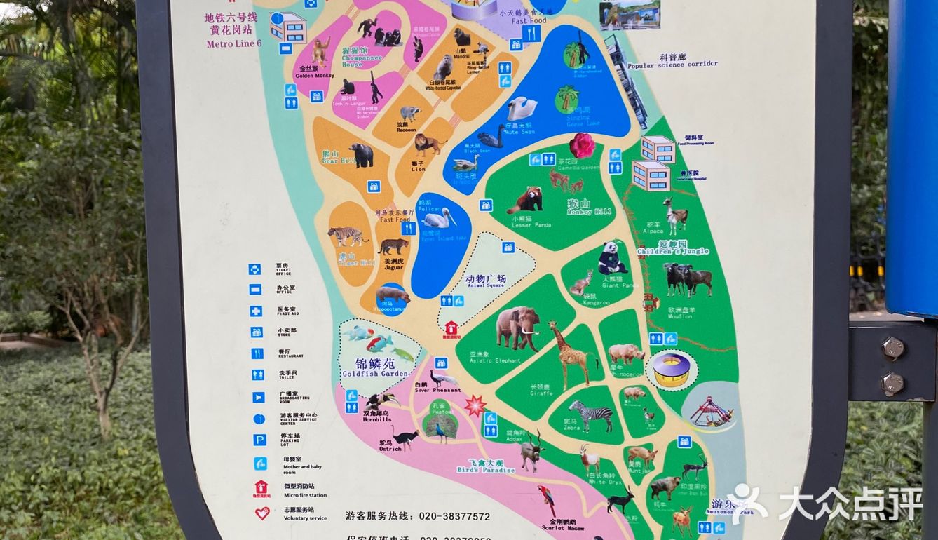 广州·越秀｜广州动物园🦍门票20元🦍