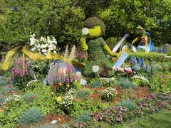 -上海共青森林公园