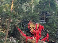 -都江堰普照寺