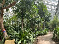 -国家植物园南园