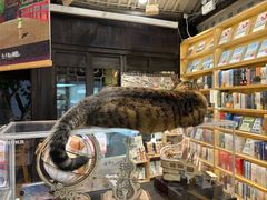 -猫的天空之城概念书店(杭州南宋御街店)