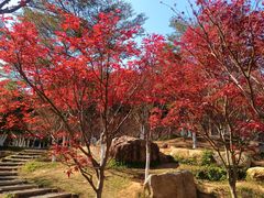-广州市帽峰山景区