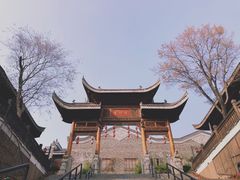 -武汉园博园(武汉自然博物馆)