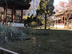 -九献·创意菜(亮马河饭店)