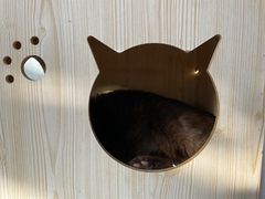 -猫小院猫主题咖啡厅(北锣店)