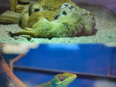 -正佳雨林生态植物园