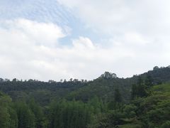 -滴水岩森林公园