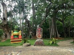 -瑞丽独树成林风景区