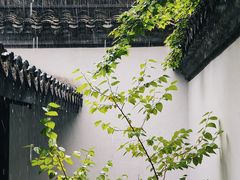 -柯岩风景区