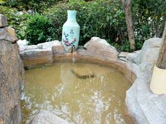 -金孔雀温泉旅游度假村