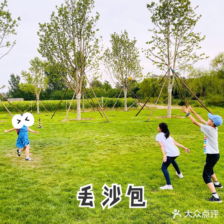 圣露庄园～遛娃实战攻略