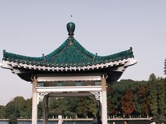 -东湖落雁景区
