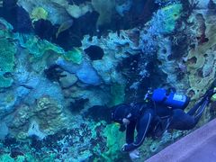 -珠海长隆海洋王国