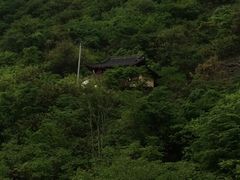 -天目山-昭明禅寺