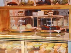 -caked(深圳购物公园店)