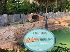 -珠海长隆海洋王国