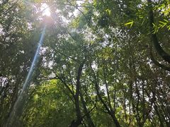 -威远炮台