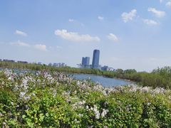 -长春北湖公园