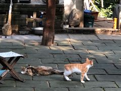 -四门塔风景区