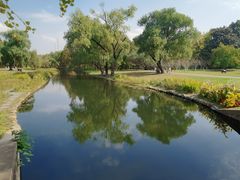 -上海共青森林公园