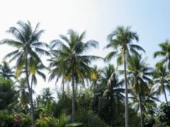 -三亚珠江南田温泉度假区