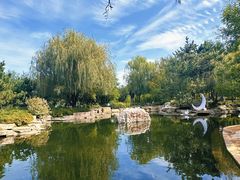 -羊亭河湿地公园