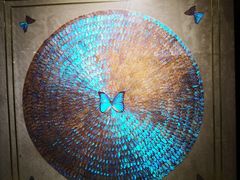 -上海昆虫博物馆