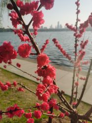点击看大图 -玄武湖景区-情侣园游乐场