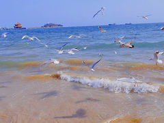 -青岛第三海水浴场