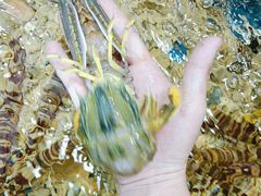 -醉壹号海鲜大排档(厦门美食地标店)