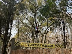 -WeLope紫金山探险公园