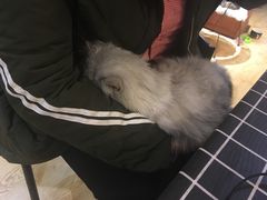 -万小咖.猫咖(中山路天虹店)