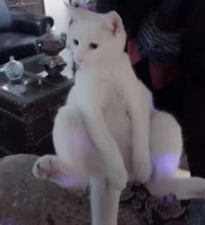 -HMC美容按摩SPA馆