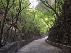 -北京上方山国家森林公园