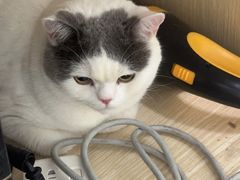 -爱诺耐芙动物医院(万博店)