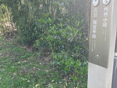 -天目湖涵田度假村