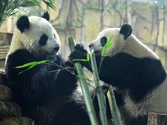 -泉州海丝野生动物世界
