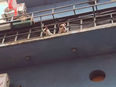 -无牌咖啡&酒馆