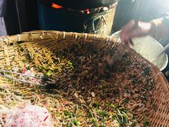 -半月镰胡姐脆皮萝卜饺子