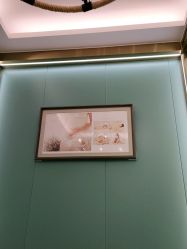 -宝贝家族国际影像馆(高新店)